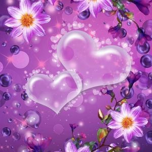 Meet your Posher, Sandy